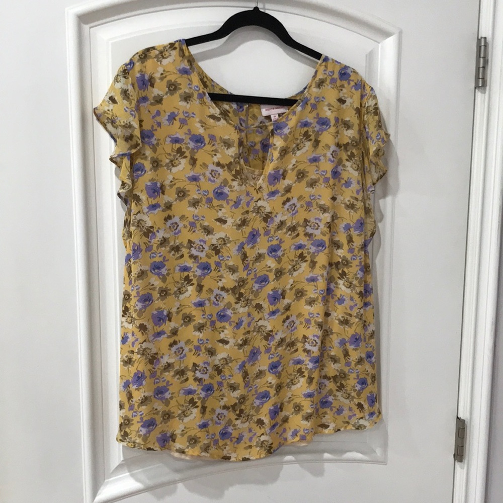 Molly & Isadora chiffon flower printed beautiful top size 2X